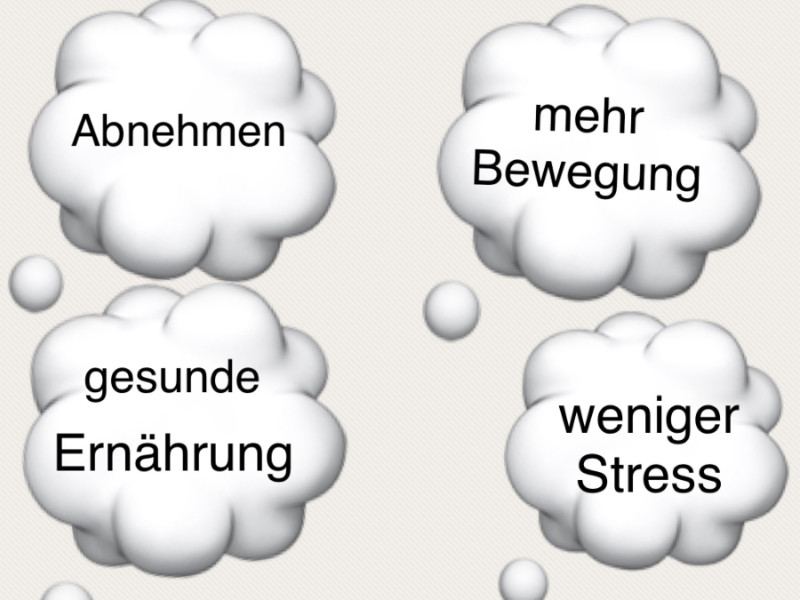 Gute Vorsätze vs. innerer Schweinehund