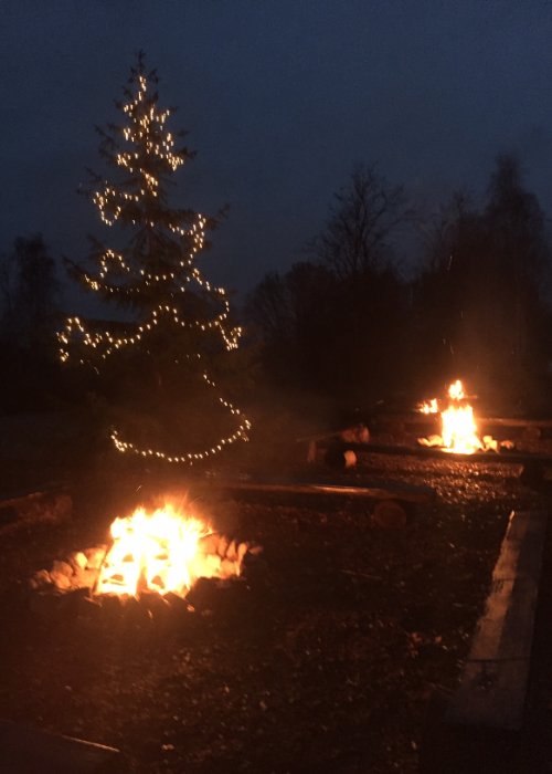 Rehhagen Weihnachtsbaum